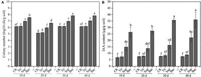 Phosphate-Solubilizing Bacterium Acinetobacter pittii gp-1 Affects Rhizosphere Bacterial Community to Alleviate Soil Phosphorus Limitation for Growth of Soybean (Glycine max)